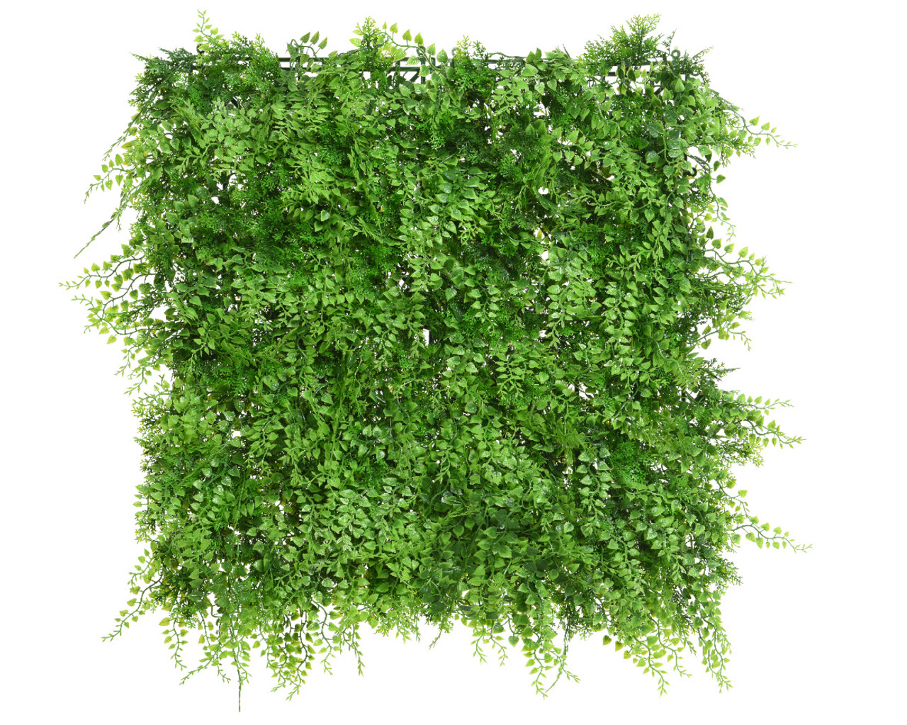 Panou verde artificial / gradina verticala artificiala Fern, Decoris, 50 x 50 cm, plastic, verde - imagine 3